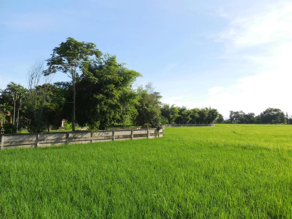 Palm Spa Village Resort Mae Rim Ngoại thất bức ảnh