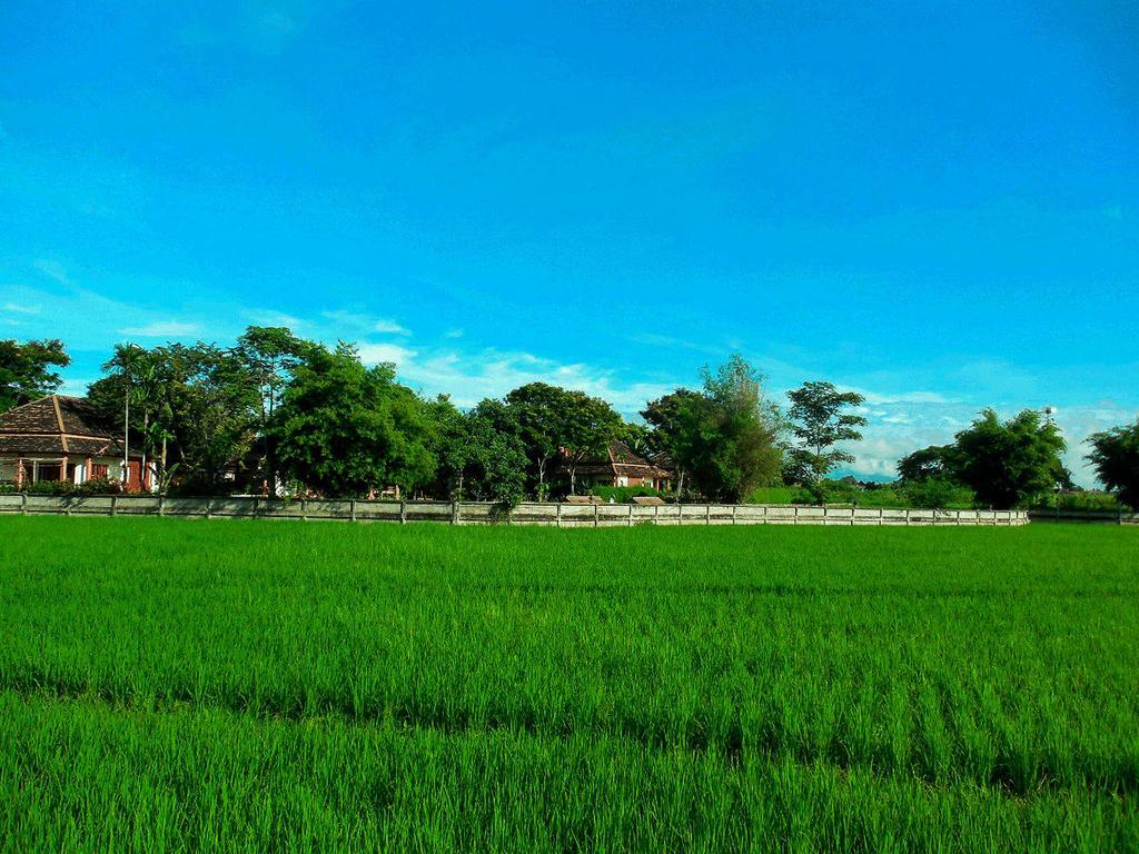 Palm Spa Village Resort Mae Rim Ngoại thất bức ảnh