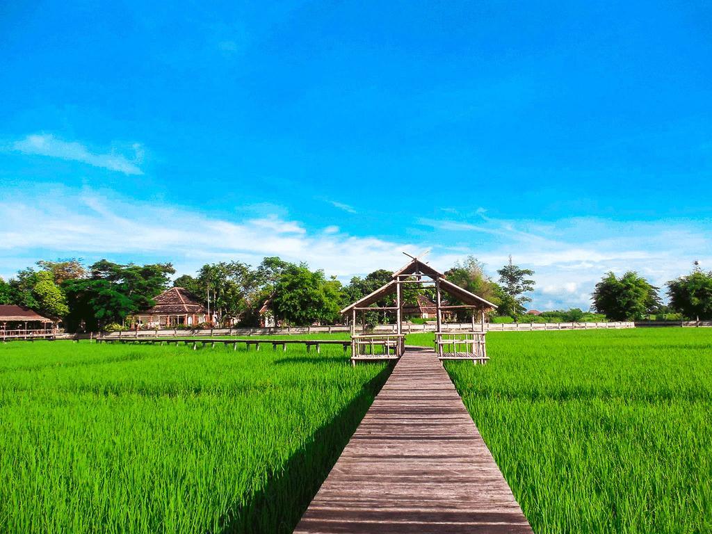 Palm Spa Village Resort Mae Rim Ngoại thất bức ảnh