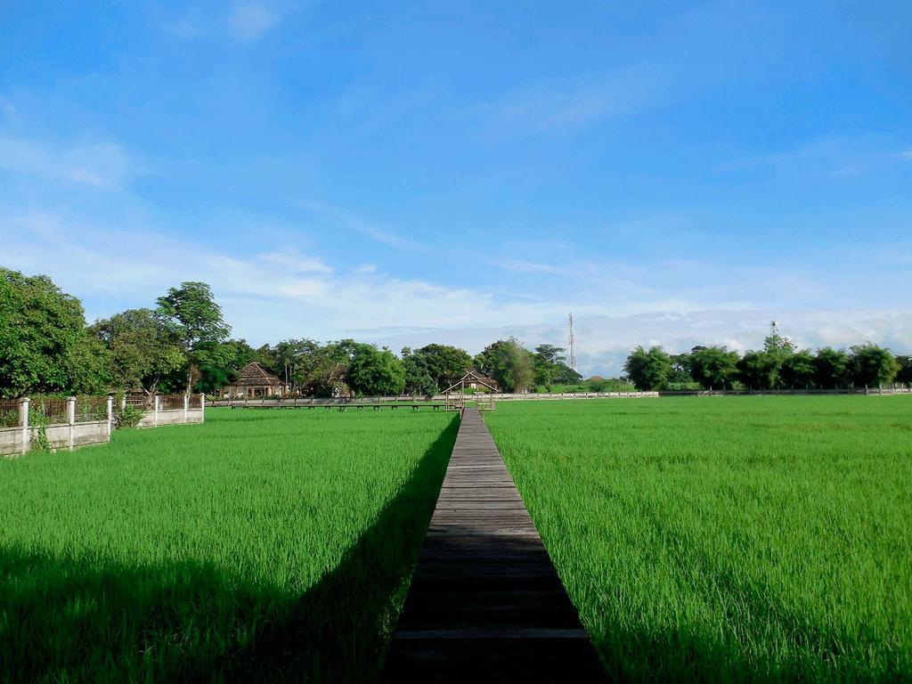Palm Spa Village Resort Mae Rim Ngoại thất bức ảnh