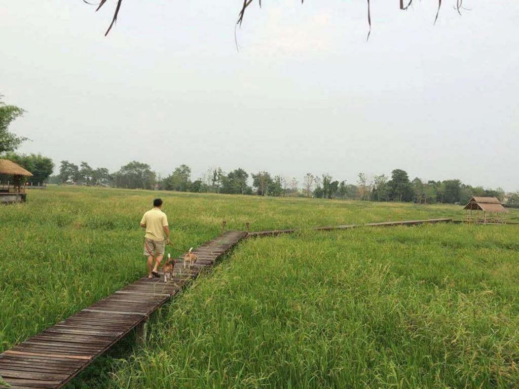 Palm Spa Village Resort Mae Rim Ngoại thất bức ảnh