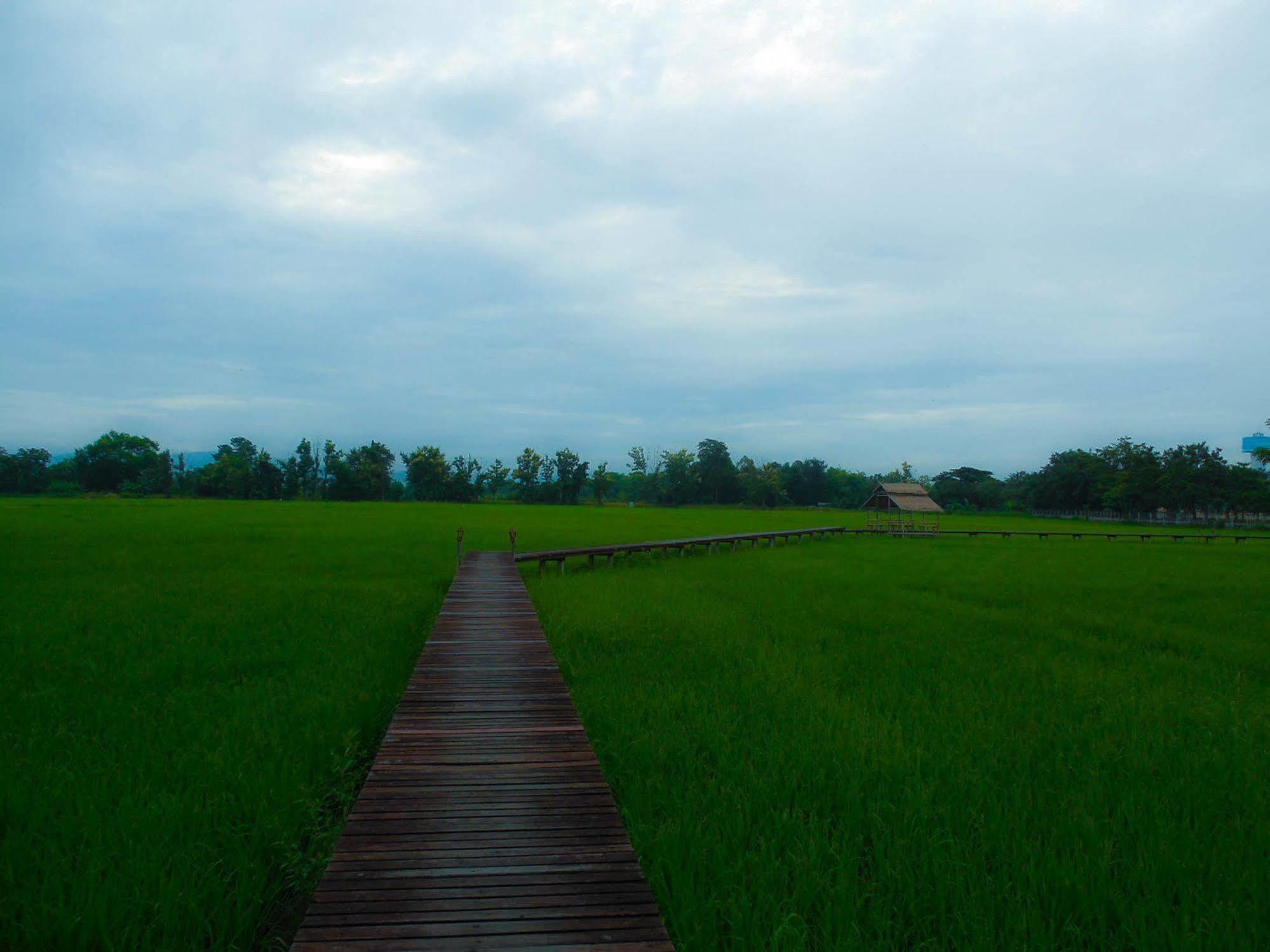 Palm Spa Village Resort Mae Rim Ngoại thất bức ảnh
